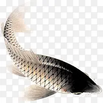鱼