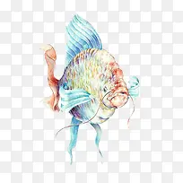 水彩鱼插画