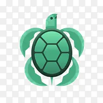 绿色水龟