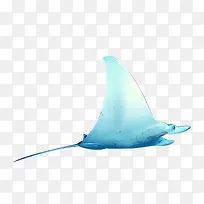 海洋鱼
