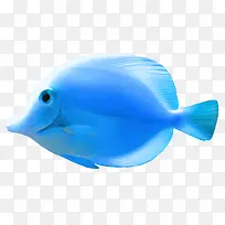 蓝色海鱼免抠素材