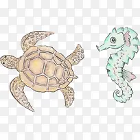 矢量手绘海洋动物