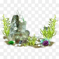 海草