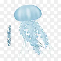 手绘蓝色水母
