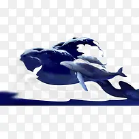 鲸鱼水彩画