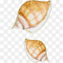 黄色海螺