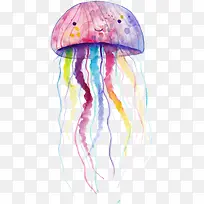 水母