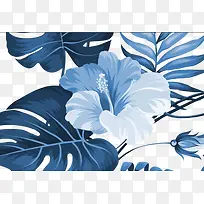 蓝色雨林植物背景