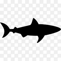鲨鱼面临图标