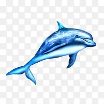 蓝色手绘鲸鱼