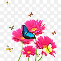 粉色模糊彩绘花朵蝴蝶