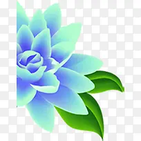 蓝色美丽花朵模糊
