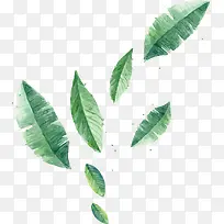 植物涂鸦绿色叶子插画
