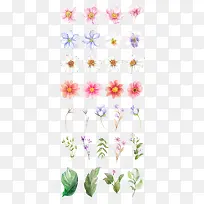 植物花朵小清新涂鸦