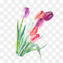 涂鸦植物元素花朵