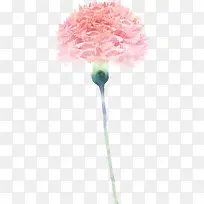 康乃馨卡通植物效果粉色