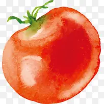 水彩番茄矢量图