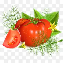 矢量鼠绘番茄