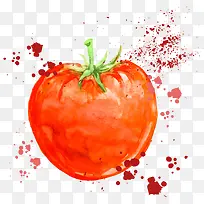 矢量水彩番茄
