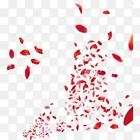 红色浪漫花瓣飘落