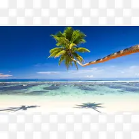 蓝天大海椰林风景