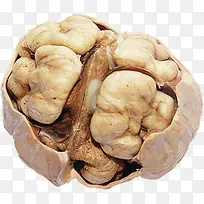 干果核桃