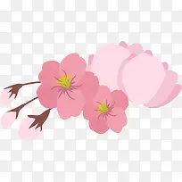 粉色美丽春季花朵