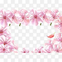 粉色鲜花花卉背景图
