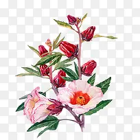 水彩鲜花