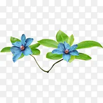 花卉