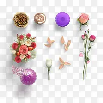 植物鲜花