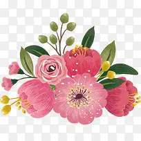 粉色的鲜花