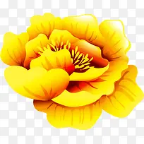 设计海报金黄色植物花朵