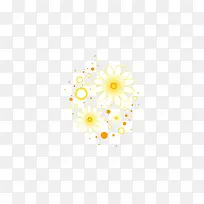 黄色花朵花瓣