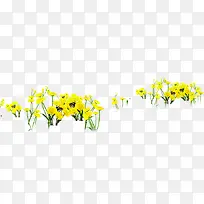 植物花朵黄色海报小清新