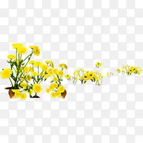 创意海报教师节黄色花朵