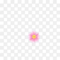 粉色菊花