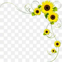 黄色春天花朵向日葵装饰