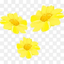 3朵黄色向日葵花朵图