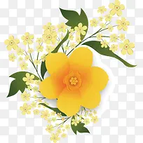 花 春天 黄色的花朵