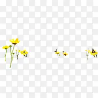 梦幻黄色蝴蝶花朵