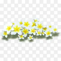 黄色淡雅花朵小花