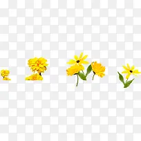 清新黄色夏季花朵装饰