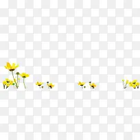 黄色春天花朵美景草地