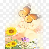 黄色美丽蝴蝶向日葵花朵
