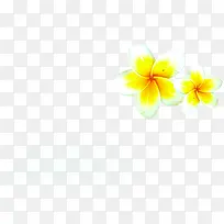 夏日海报黄色花朵
