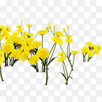 黄色卡通自然花朵