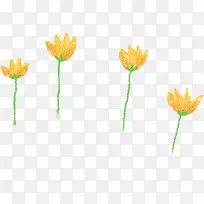 手绘黄色花朵植物春日