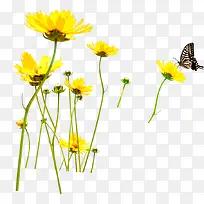 黄色卡通花朵蝴蝶