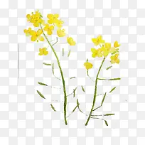 黄色花朵绿叶手绘装饰